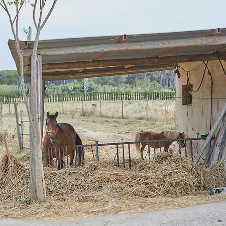 Tatil Evi Casa Andreu Pals
